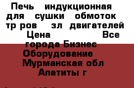 Печь   индукционная   для   сушки   обмоток   тр-ров,   зл. двигателей    › Цена ­ 3 000 000 - Все города Бизнес » Оборудование   . Мурманская обл.,Апатиты г.